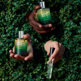 EX-VETIVER