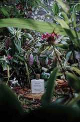 Secret Gardenia