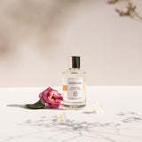 Freesia and Coton