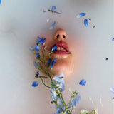 Ode to Dullness