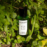 Aqua Millefolia Absolue