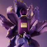 Imperiale Iris Malika