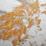 Osmanthus