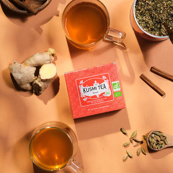 Herbata Boost Bio 20 saszetek Kusmi Tea