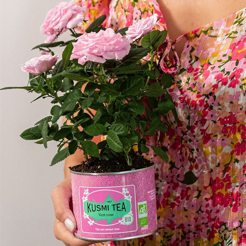 Herbata Green rose Bio puszka 100g Kusmi Tea