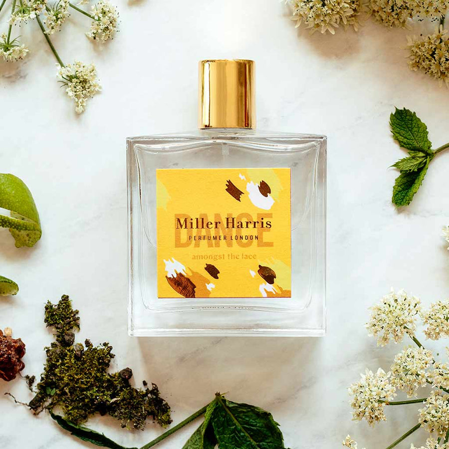 DANCE Amongst the Lace – Beauty Boutique